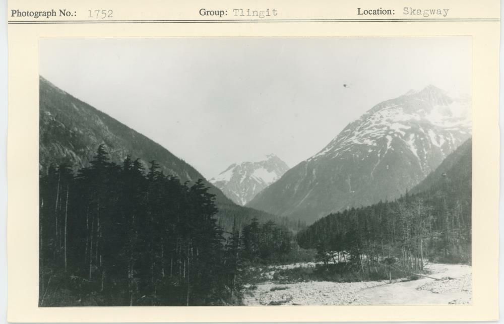 Image representing photograph.