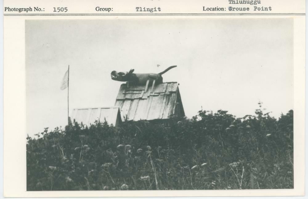 Image representing photograph.