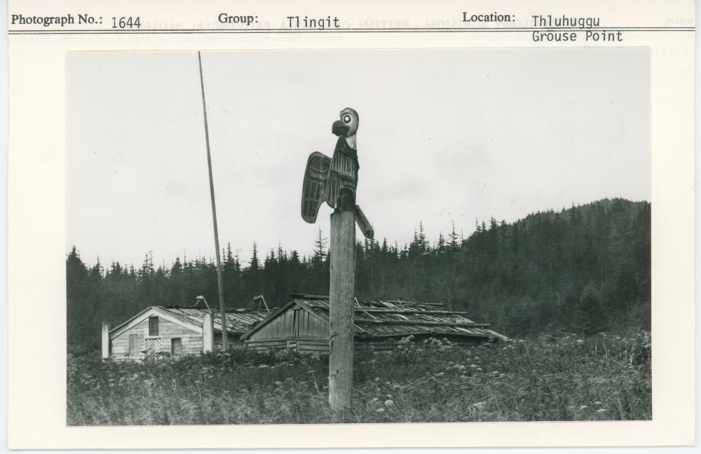 Image representing photograph.