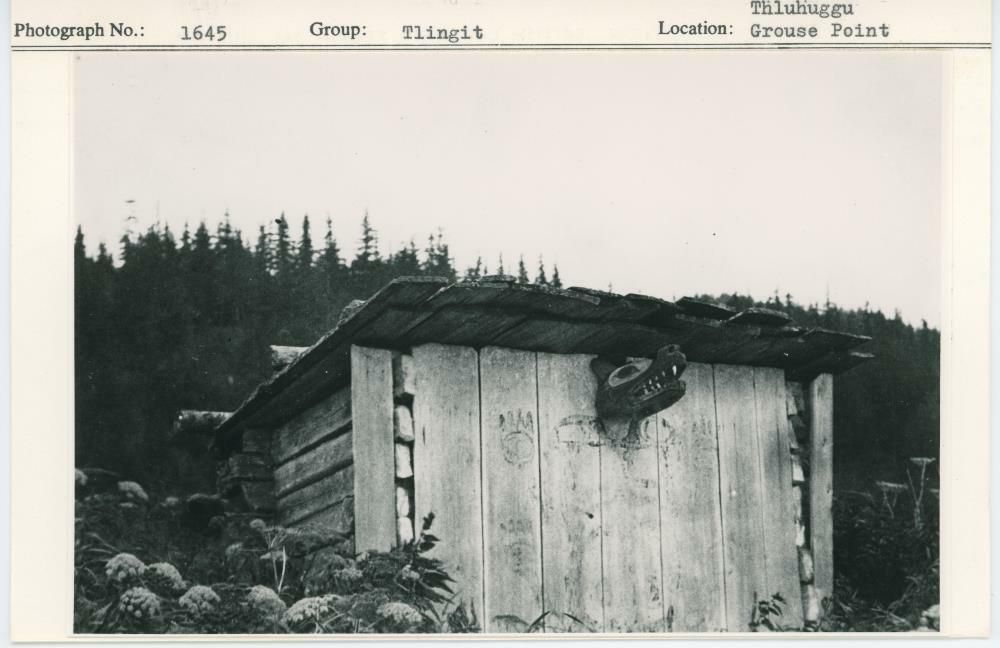 Image representing photograph.