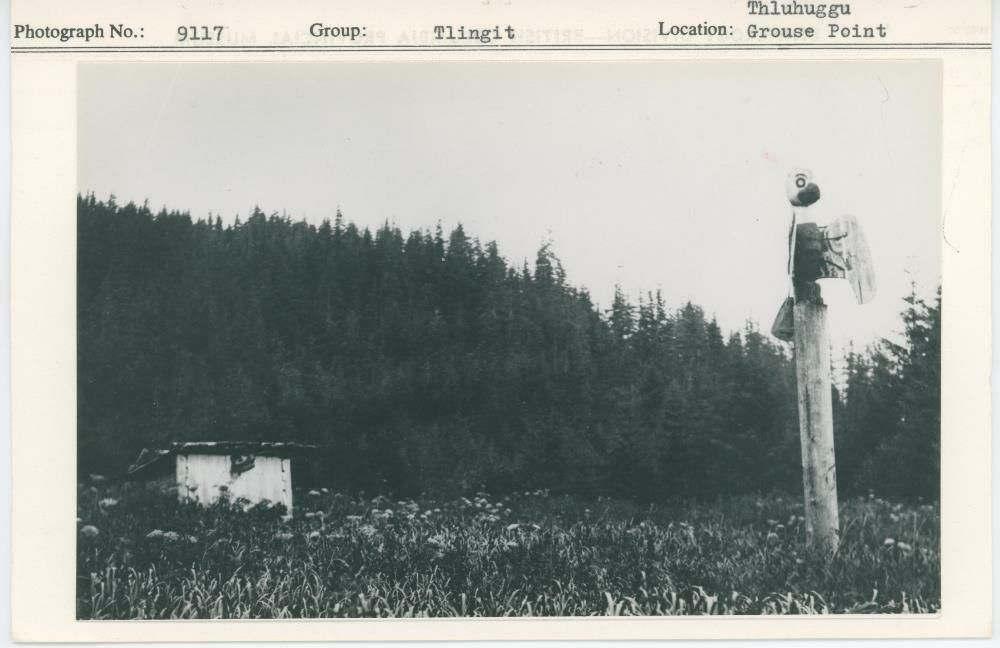 Image representing photograph.