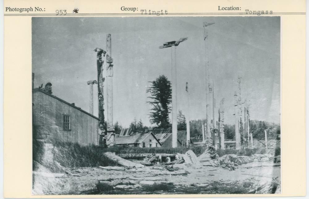 Image representing photograph.