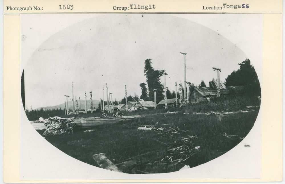 Image representing photograph.