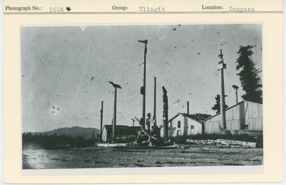 Image representing photograph.