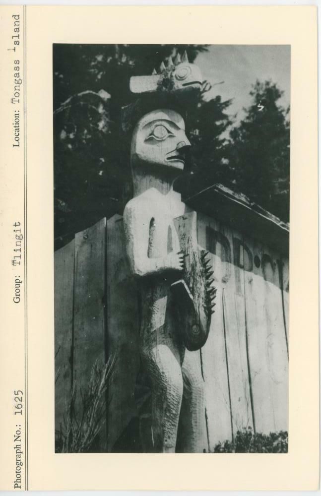 Image representing photograph.