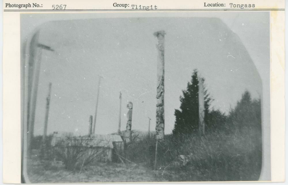 Image representing photograph.