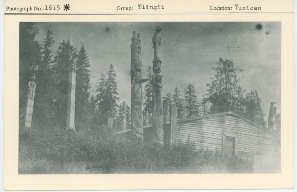 Image representing photograph.