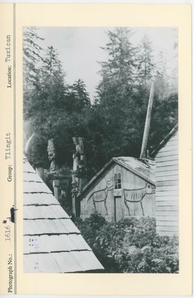 Image representing photograph.