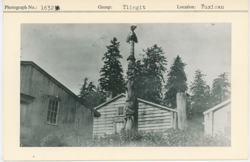 Image representing photograph.