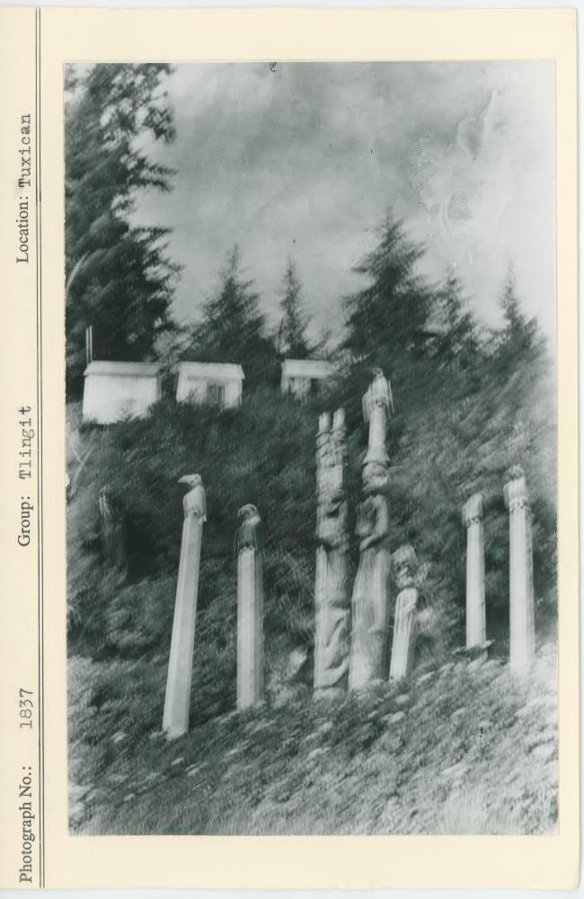 Image representing photograph.