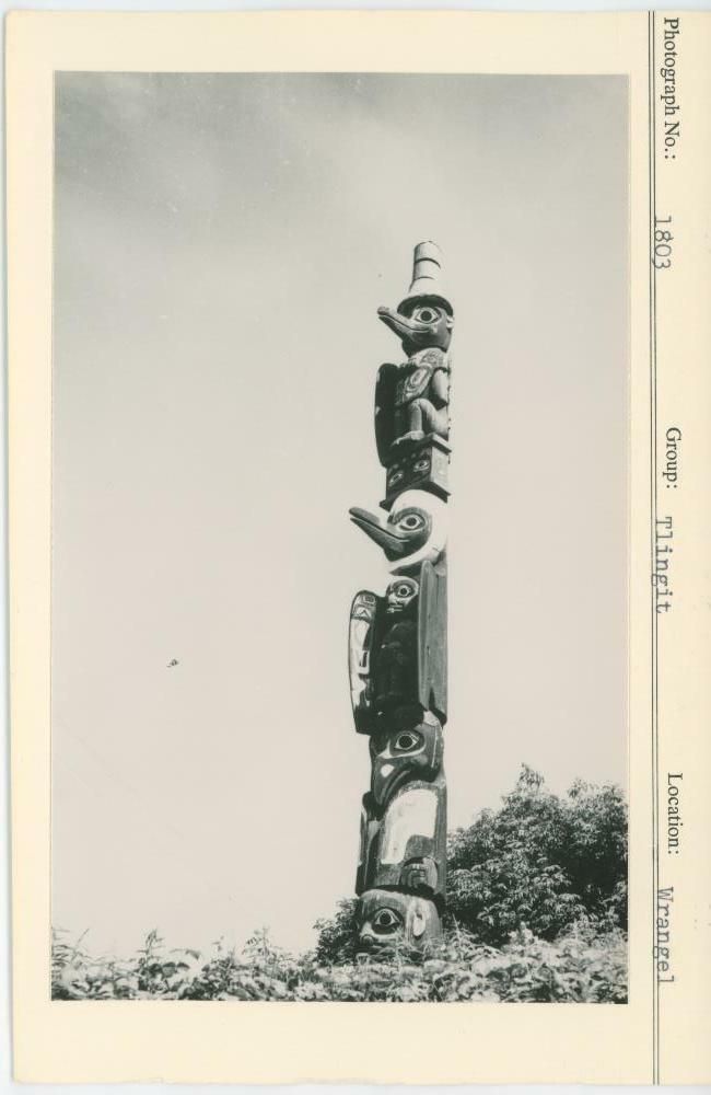 Image representing photograph.