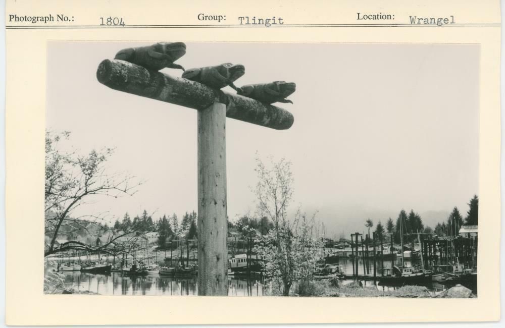 Image representing photograph.