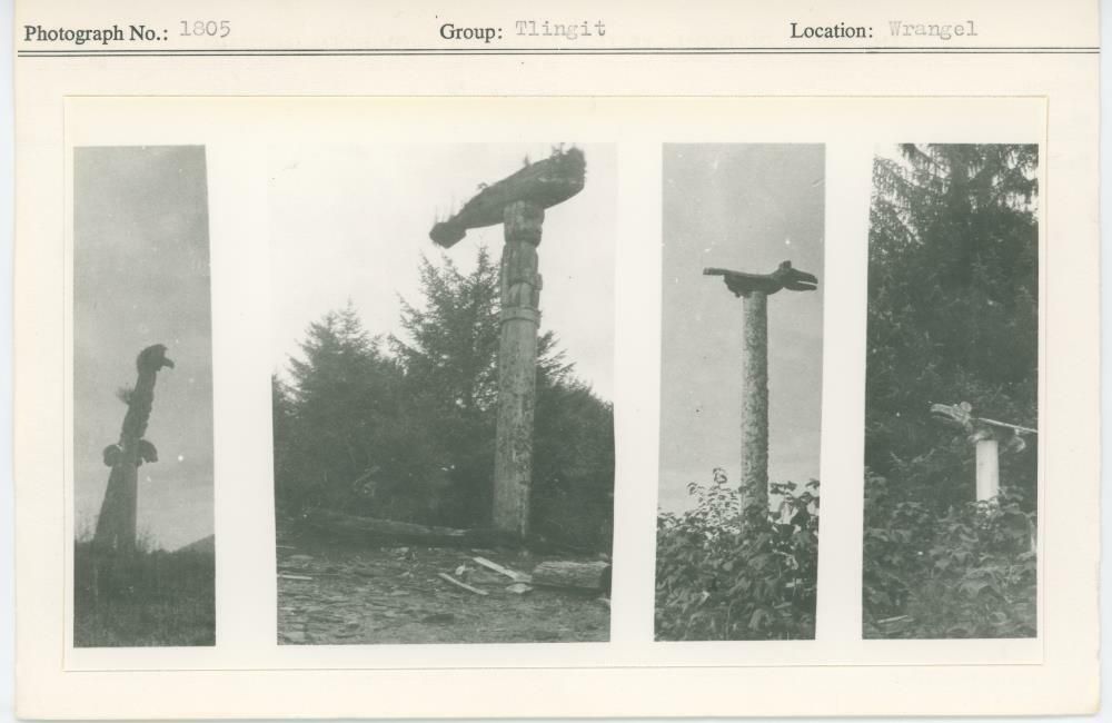 Image representing photograph.