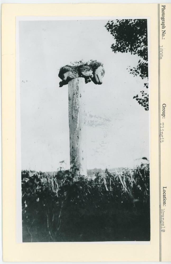 Image representing photograph.