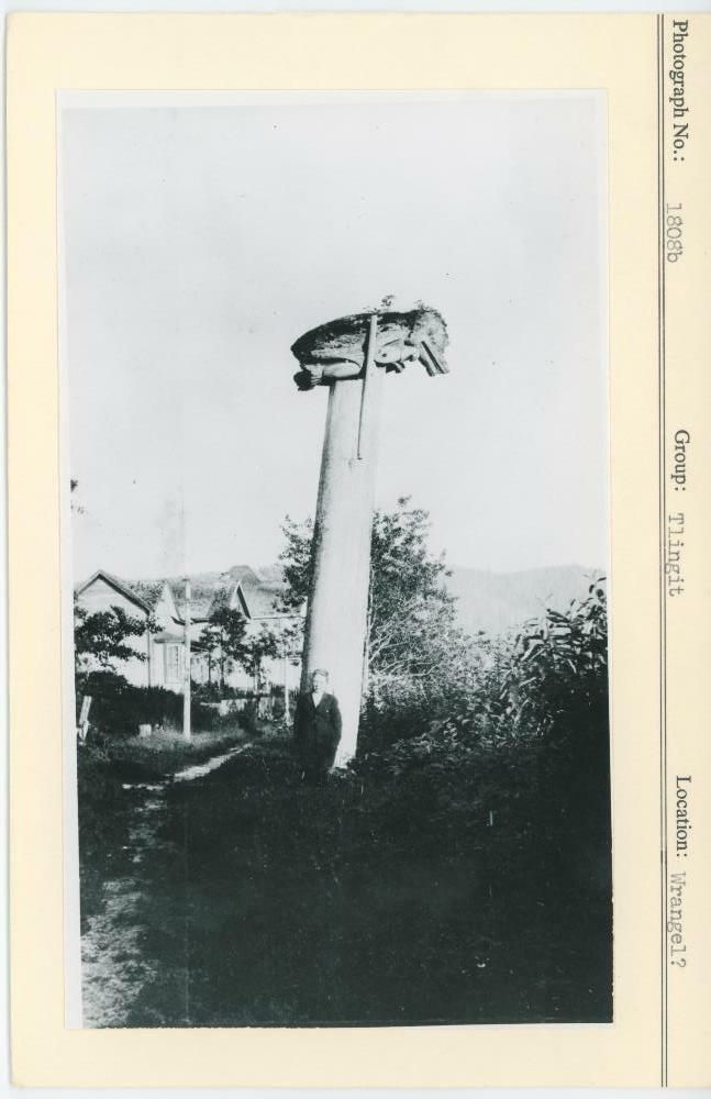 Image representing photograph.