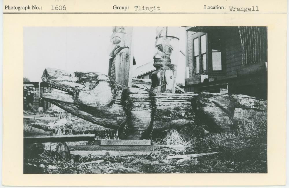 Image representing photograph.