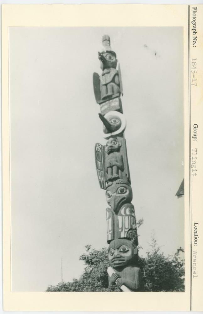 Image representing photograph.