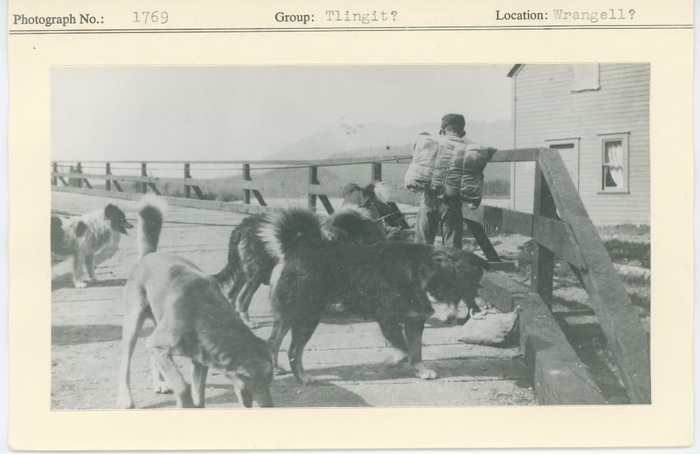 Image representing photograph.