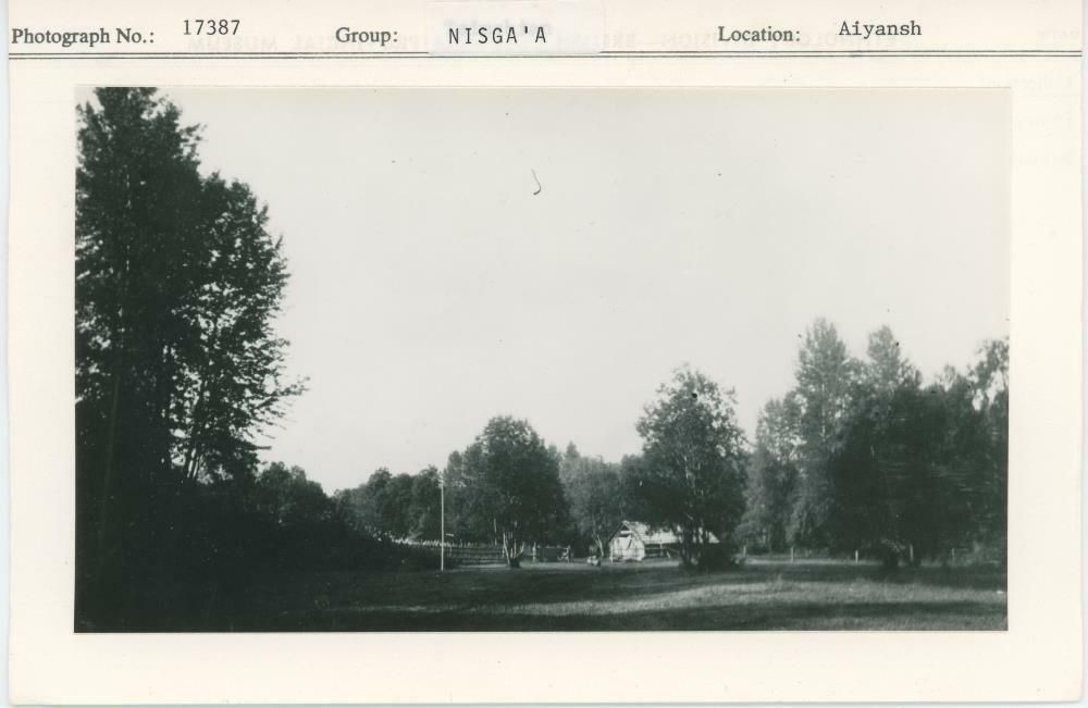 Image representing photograph.