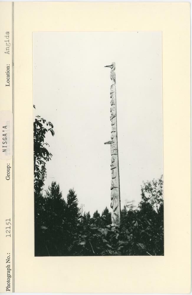 Image representing photograph.