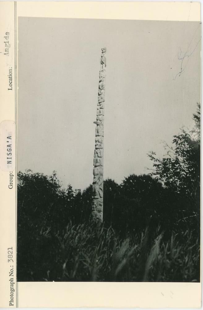 Image representing photograph.