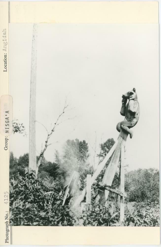 Image representing photograph.