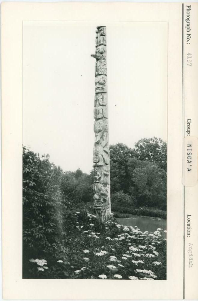 Image representing photograph.