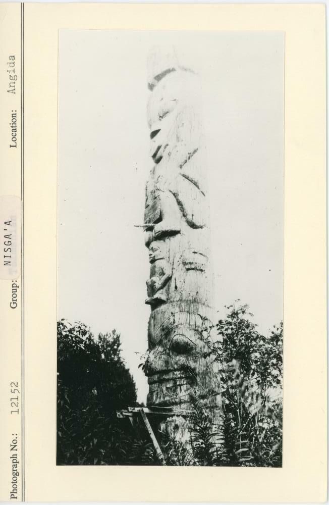 Image representing photograph.