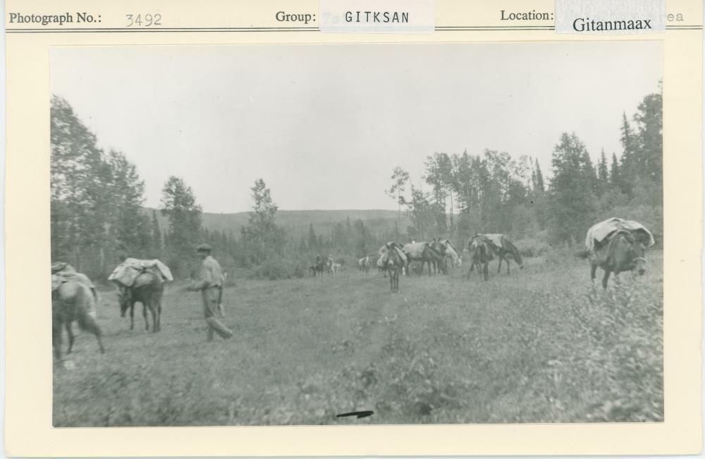 Image representing photograph.