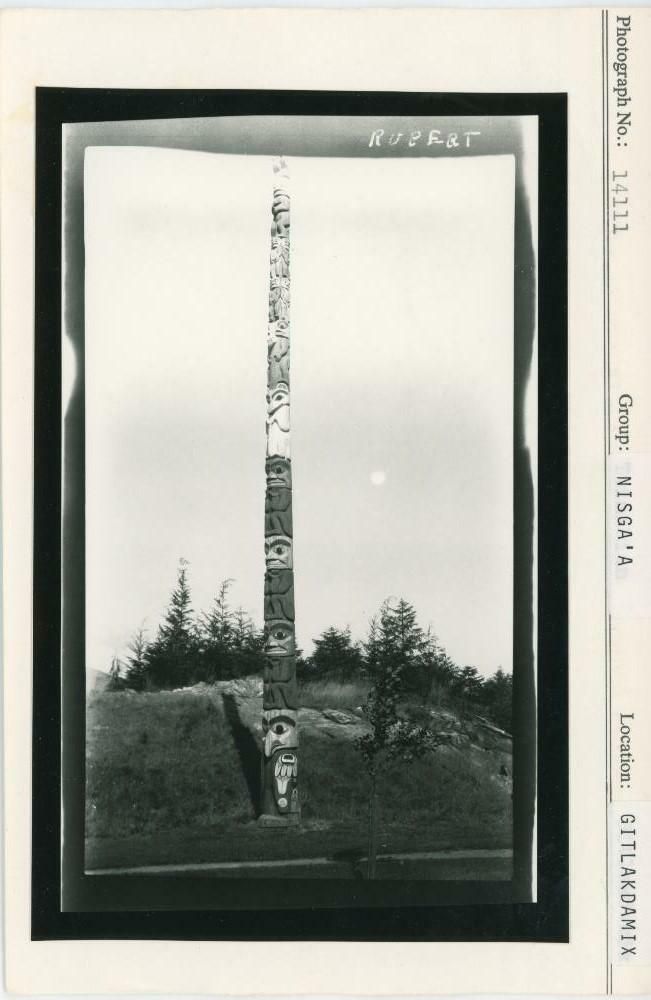 Image representing photograph.