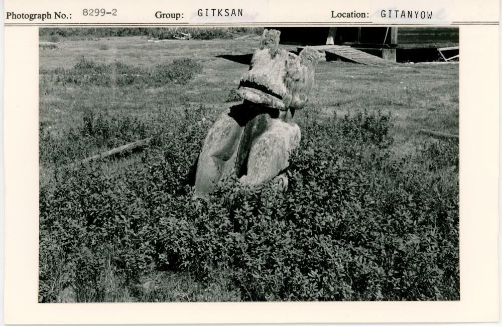 Image representing photograph.