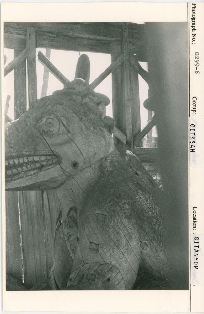 Image representing photograph.