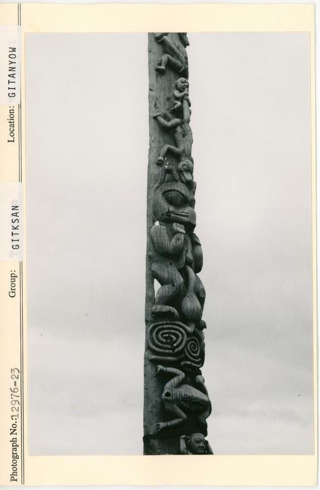 Image representing photograph.