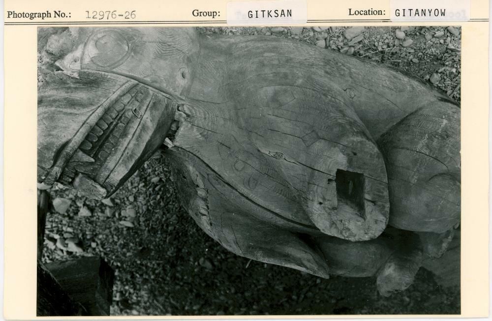 Image representing photograph.