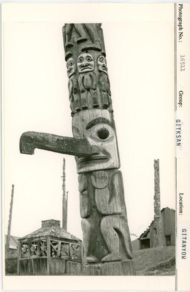 Image representing photograph.