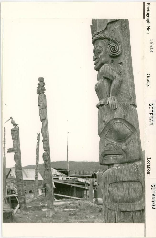 Image representing photograph.