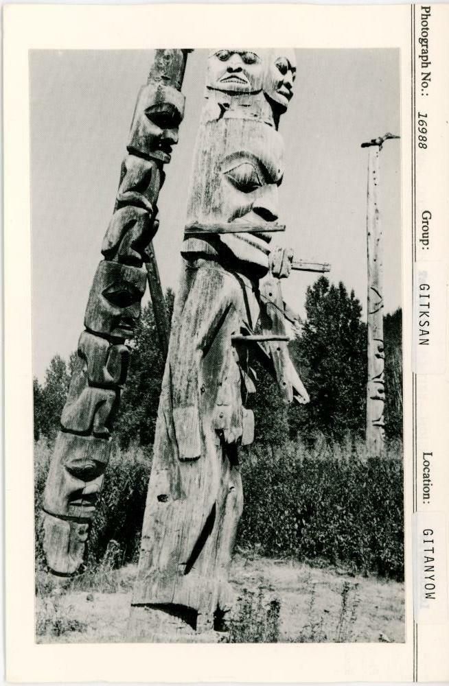 Image representing photograph.