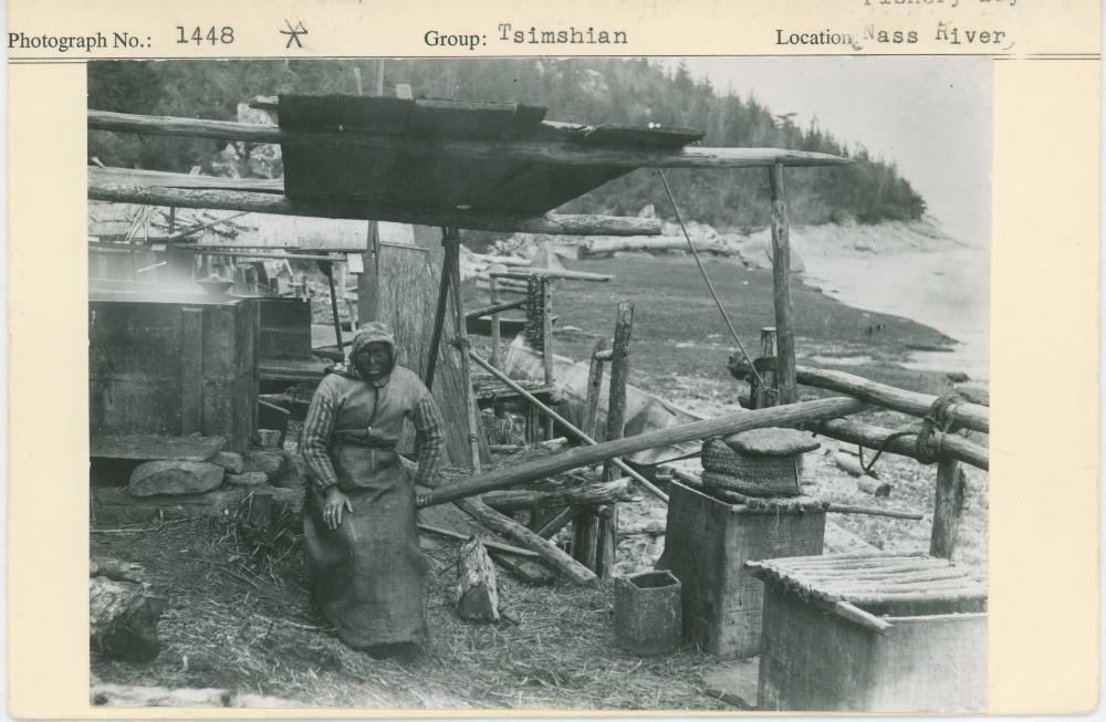 Image representing photograph.