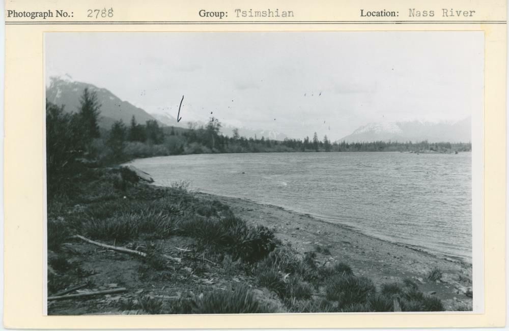 Image representing photograph.