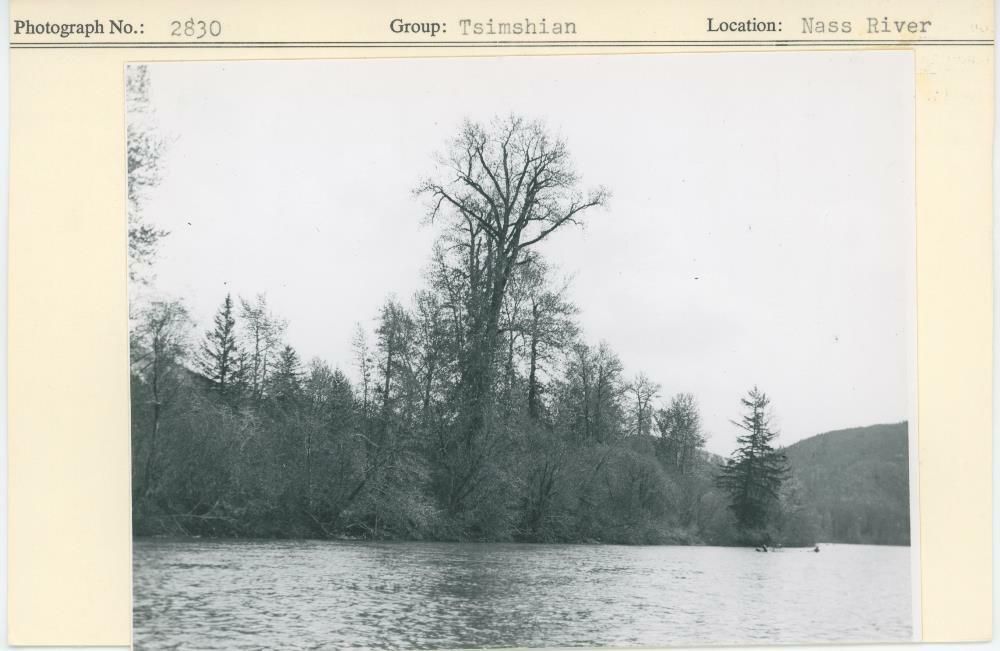 Image representing photograph.