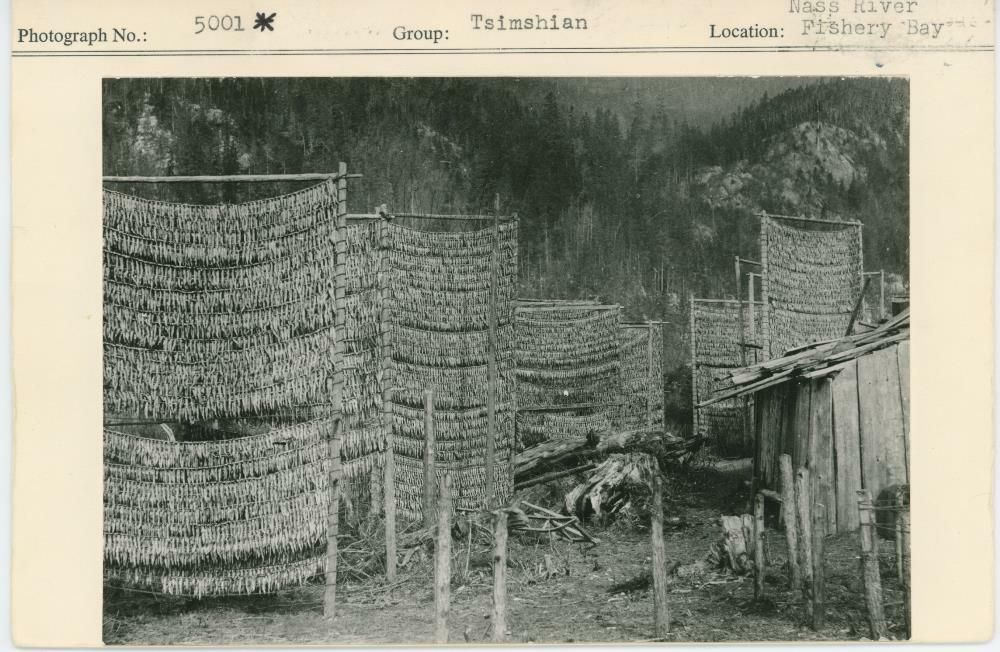 Image representing photograph.