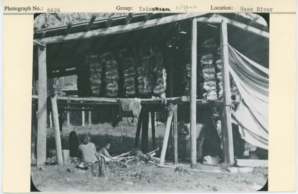 Image representing photograph.