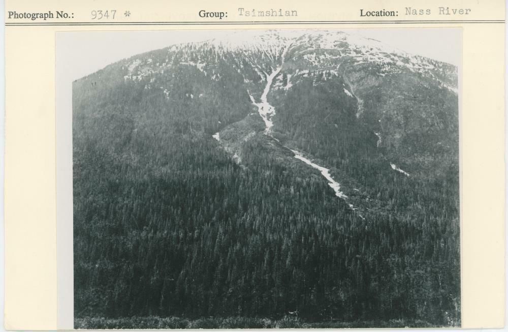 Image representing photograph.