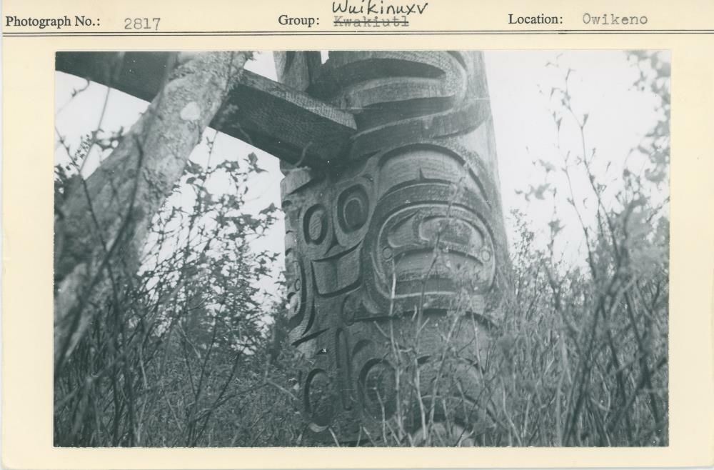 Image representing photograph.