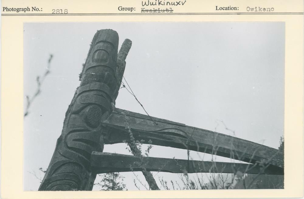 Image representing photograph.