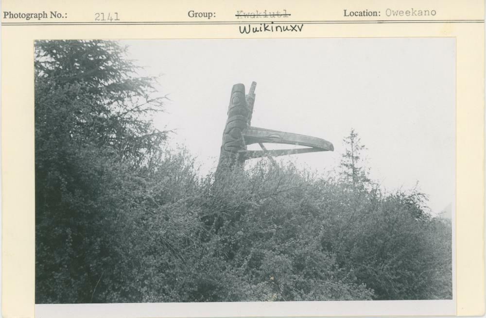 Image representing photograph.