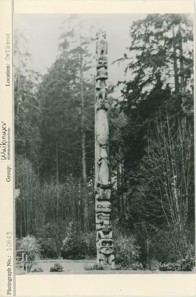 Image representing photograph.