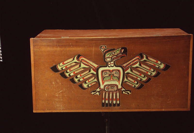 Image representing Chest.