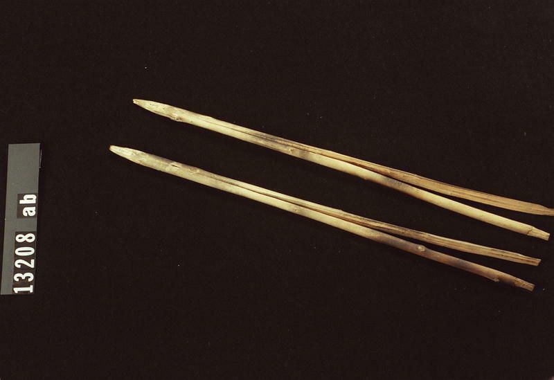 Image representing Stick, barbequing.