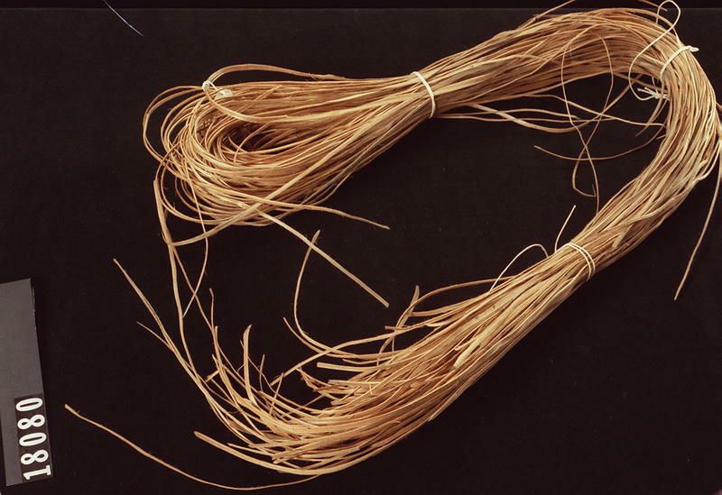 Image représentant Prepared Material